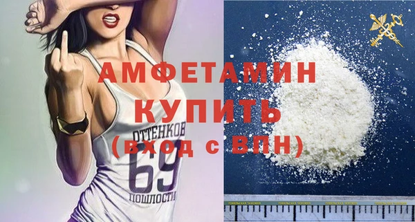 твердый Арсеньев