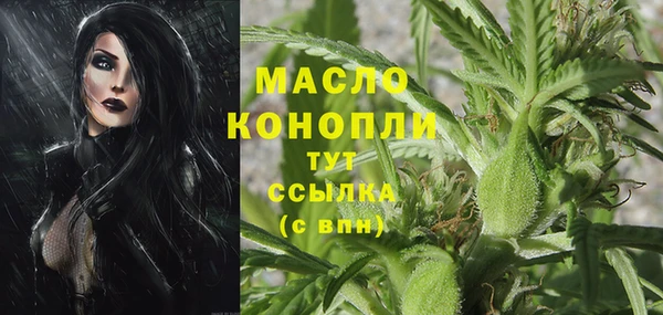 твердый Арсеньев
