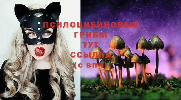 твердый Арсеньев