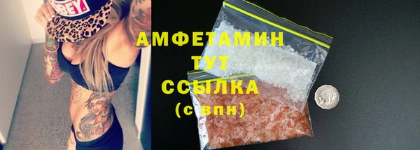 твердый Арсеньев