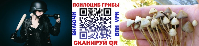 Галлюциногенные грибы Magic Shrooms  mega рабочий сайт  дарк нет как зайти  Тырныауз 